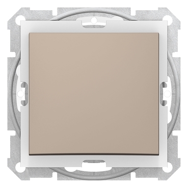 SDN0100368 - Sedna - 1pole switch - 10AX IP44 without frame titanium, Schneider Electric