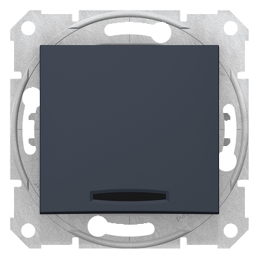 SDN0501170 - Sedna - intermediate switch - 10AX locator light, without frame graphite, Schneider Electric