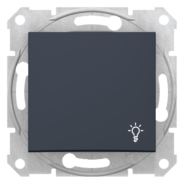 SDN0900170 - Sedna - 1pole pushbutton - 10A light symbol, without frame graphite, Schneider Electric