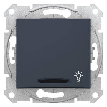 SDN1800170 - Sedna - 1pole pushb - 10A locator light, light symbol, without frame graphite, Schneider Electric