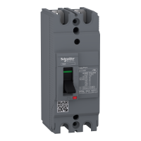 EZC100H2025 - circuit breaker,EasyPact EZC100H ,TMD, 25A ,2 poles 2d, Schneider Electric
