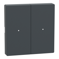 MTN625214 - Clapete pentru Modul cu 2 Butoane, Antracit, Sistem M, Schneider Electric