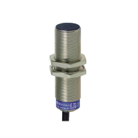 XS618B1DAL2 - Inductive proximity sensors XS, inductive sensor XS6 M18, L62mm, brass, Sn8mm, 12...48 VDC, cable 2 m, Schneider Electric