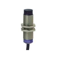 XS618B4PBL2 - Inductive proximity sensors XS, inductive sensor XS6 M18, L60mm, brass, Sn12mm, 12...48 VDC, cable 2 m, Schneider Electric