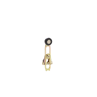 ZCKY43TK - Limit switch lever, Limit switches XC Standard, ZCKY, steel roller variable length, -40...120 °C, Schneider Electric