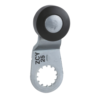 ZCY20 - Limit switch lever, Limit switches XC Standard, ZCY, thermoplastic roller, Schneider Electric